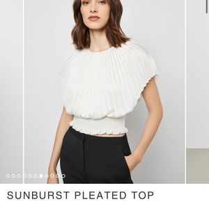 Bcbgmaxazria sunburst top